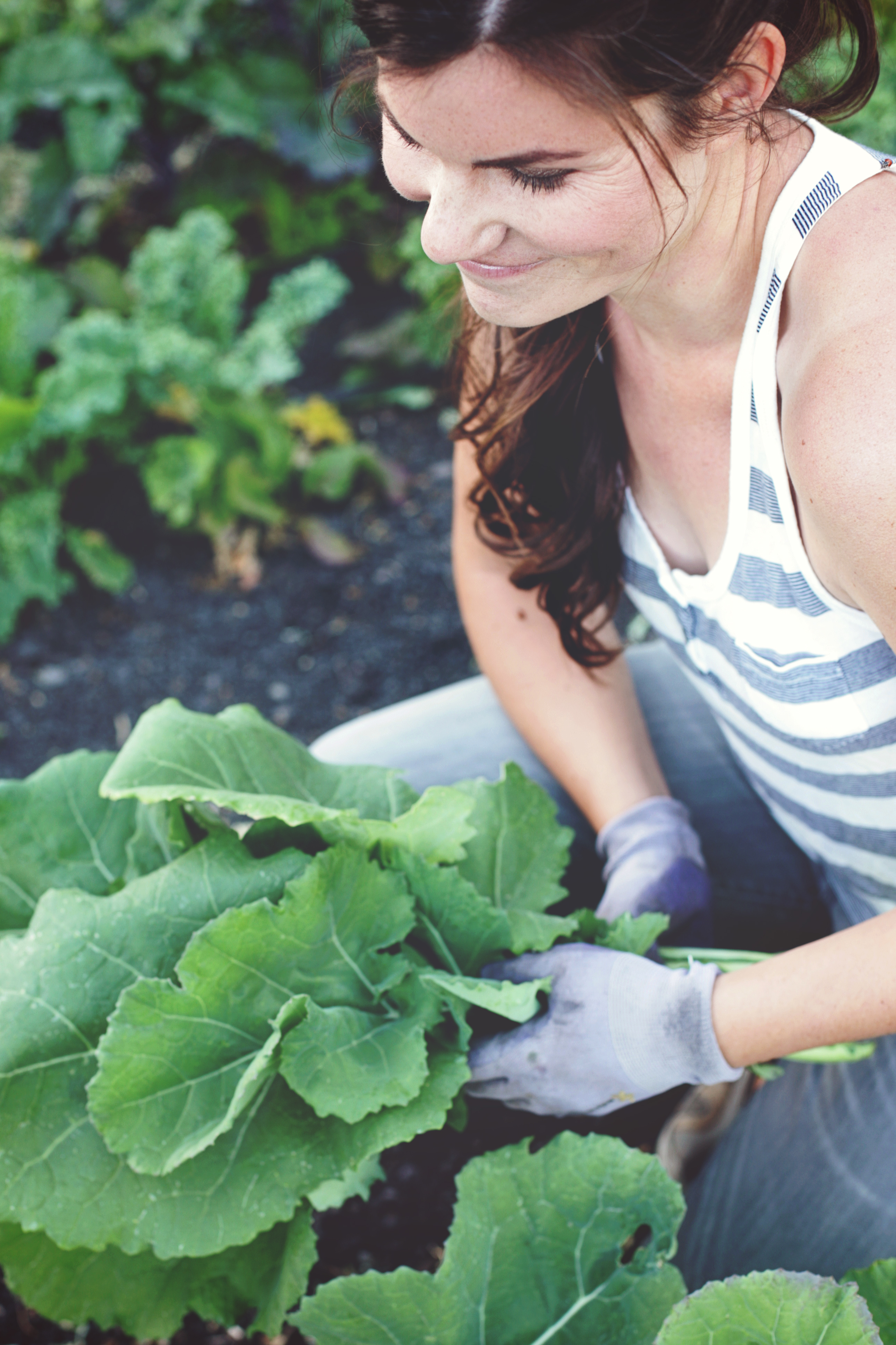 Harvesting collards (photo credit: In Her Image Photography)