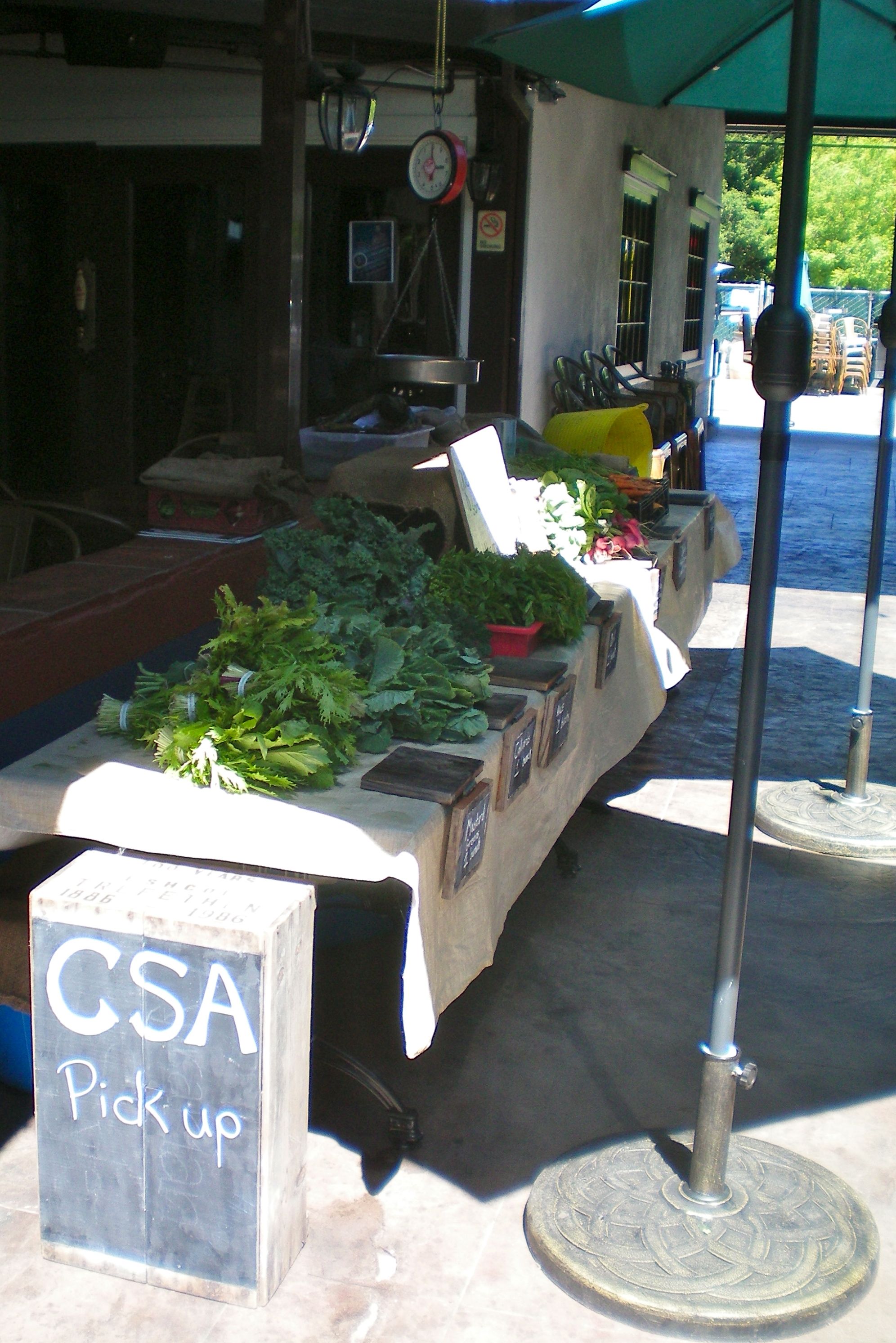 CSA pick up at Murphy's Irish Pub