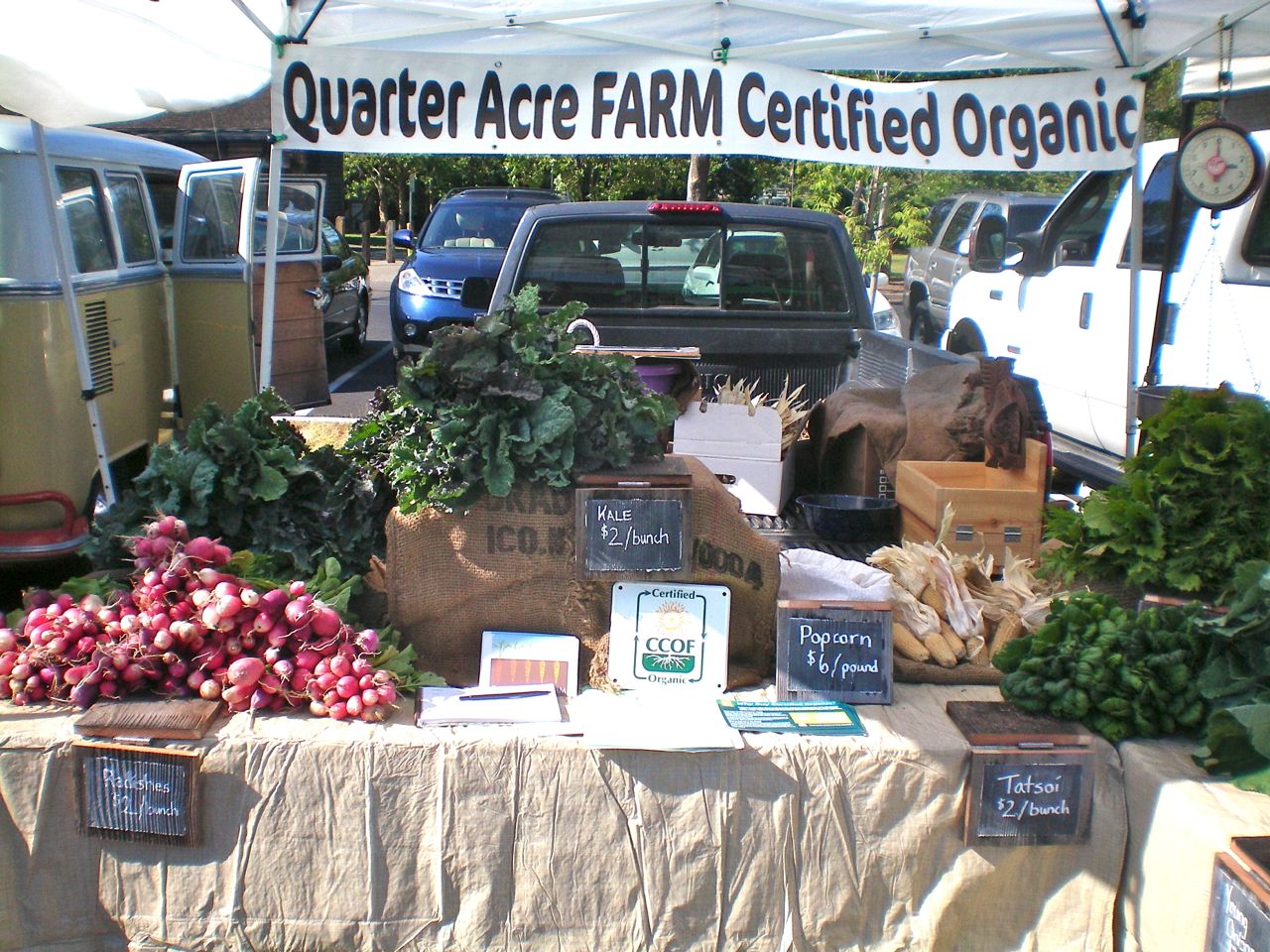 First week back at the Sonoma Valley farmer's market