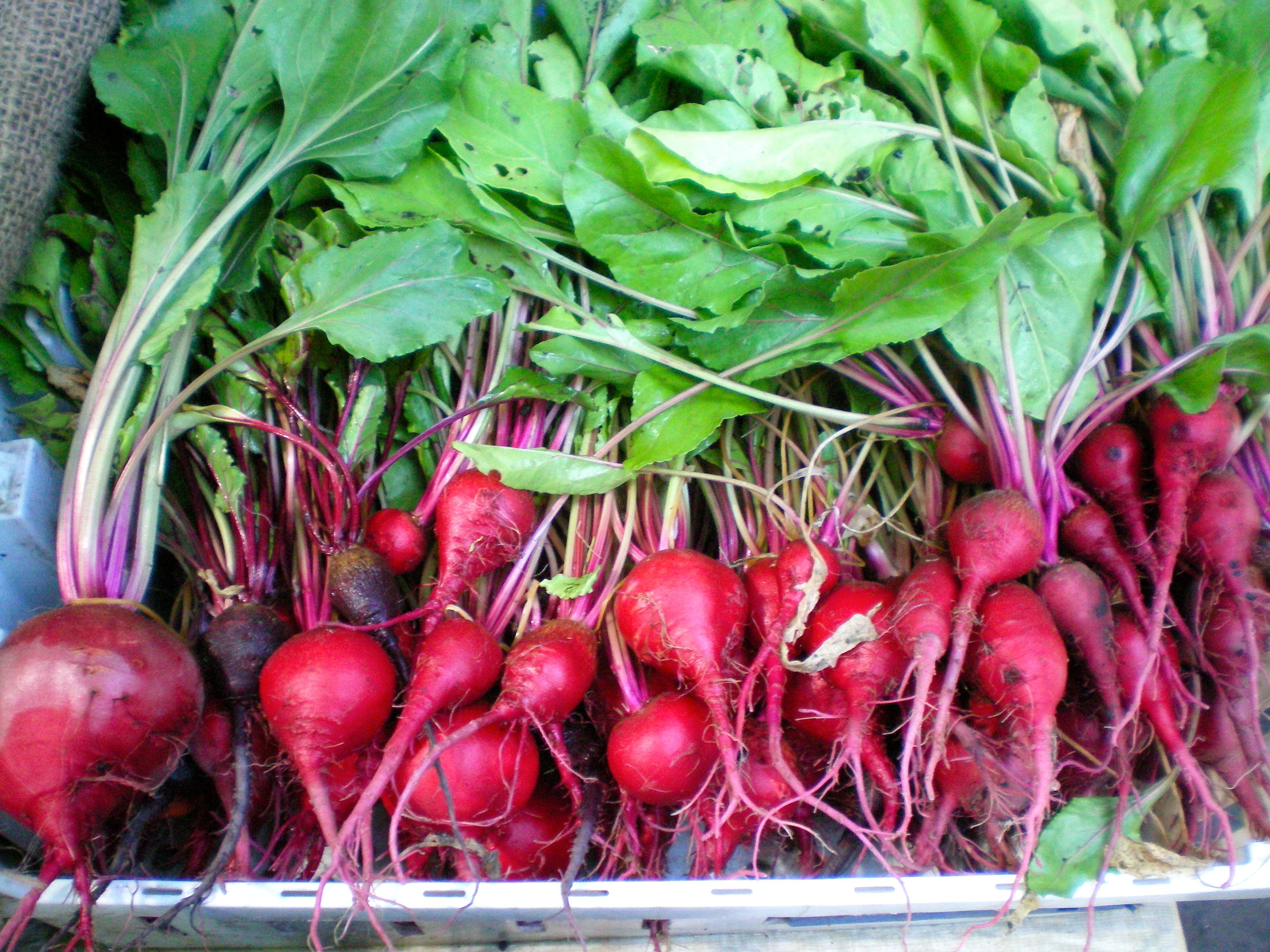 Baby beets