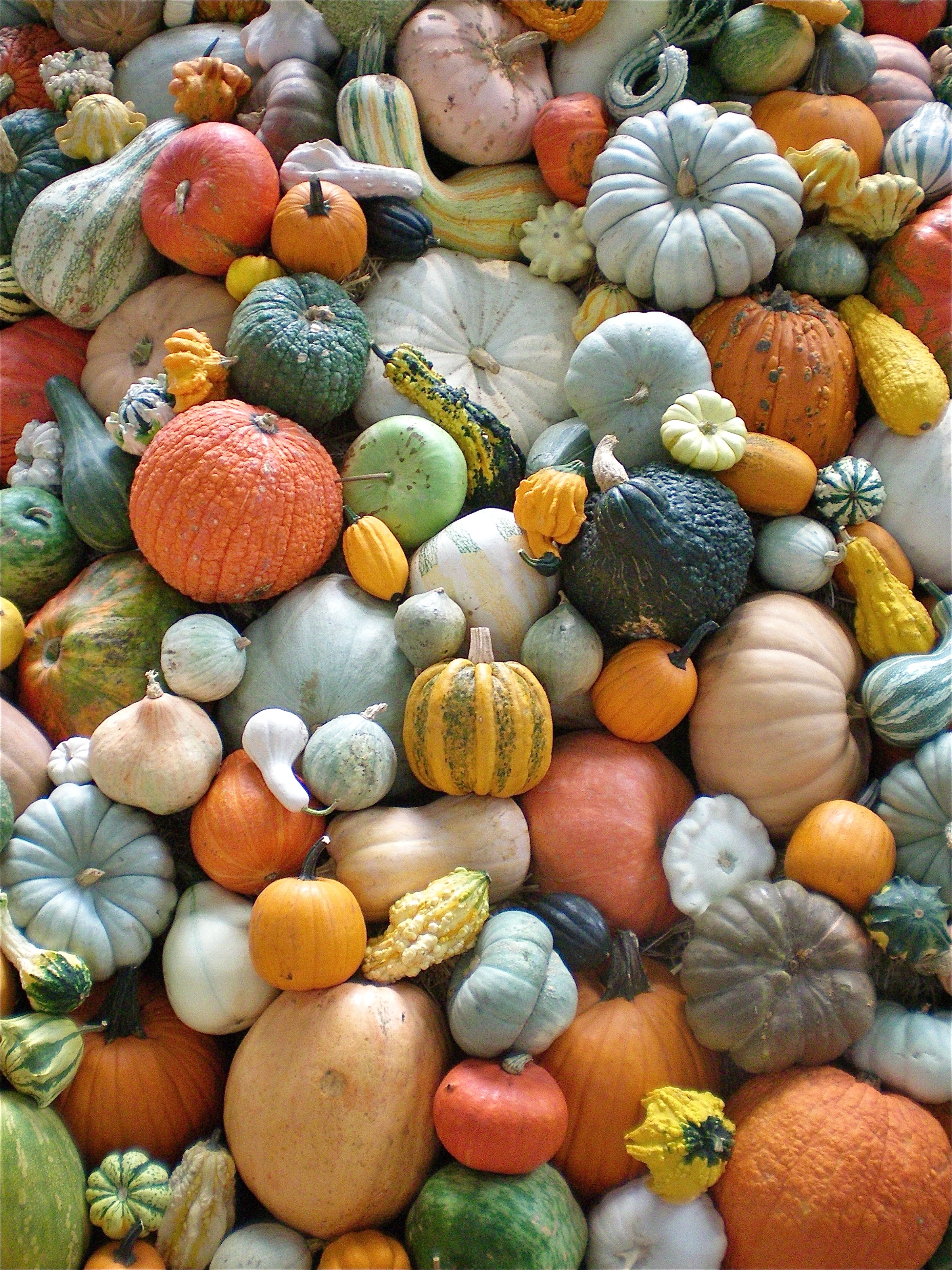 Winter squash mountain