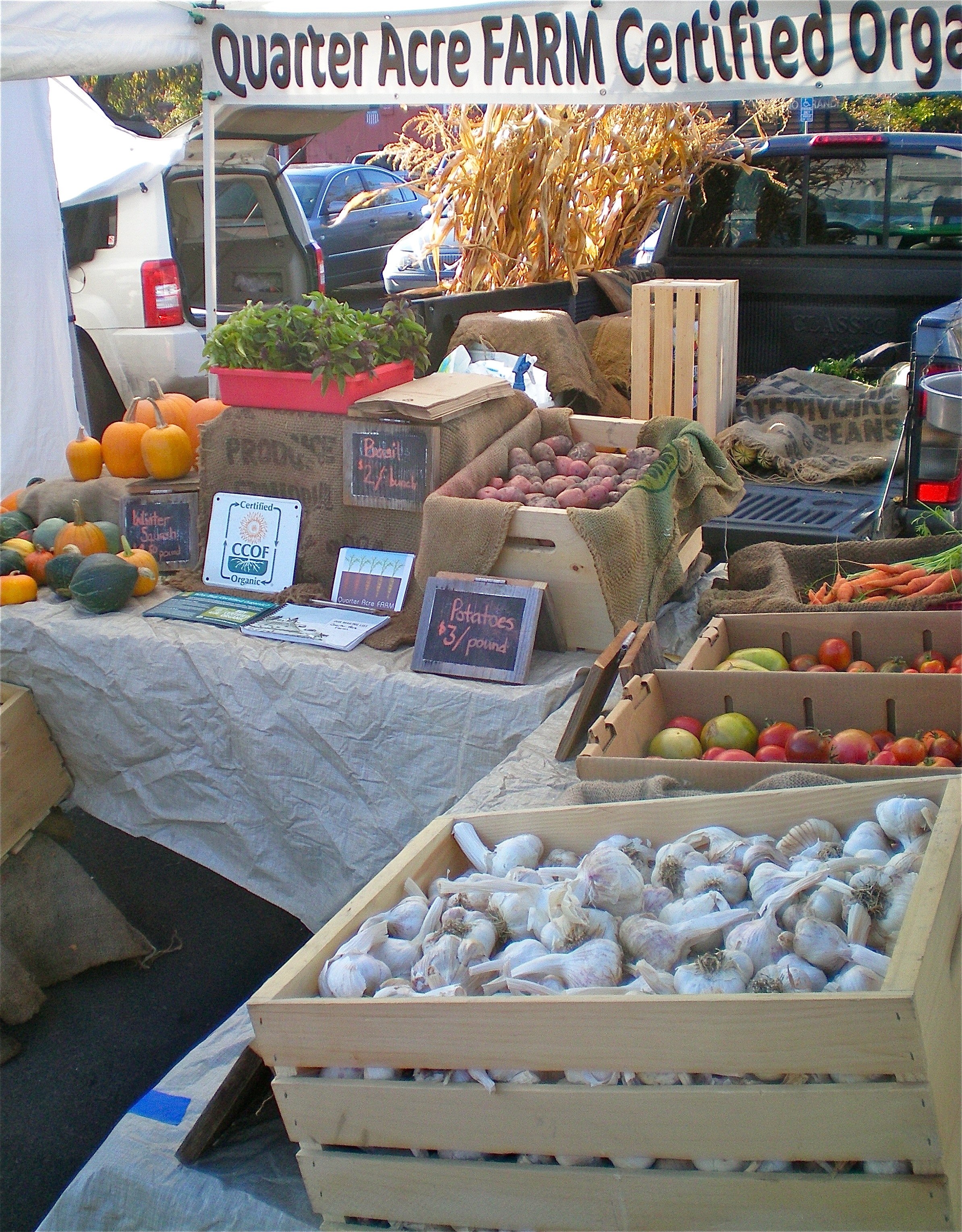 fall market