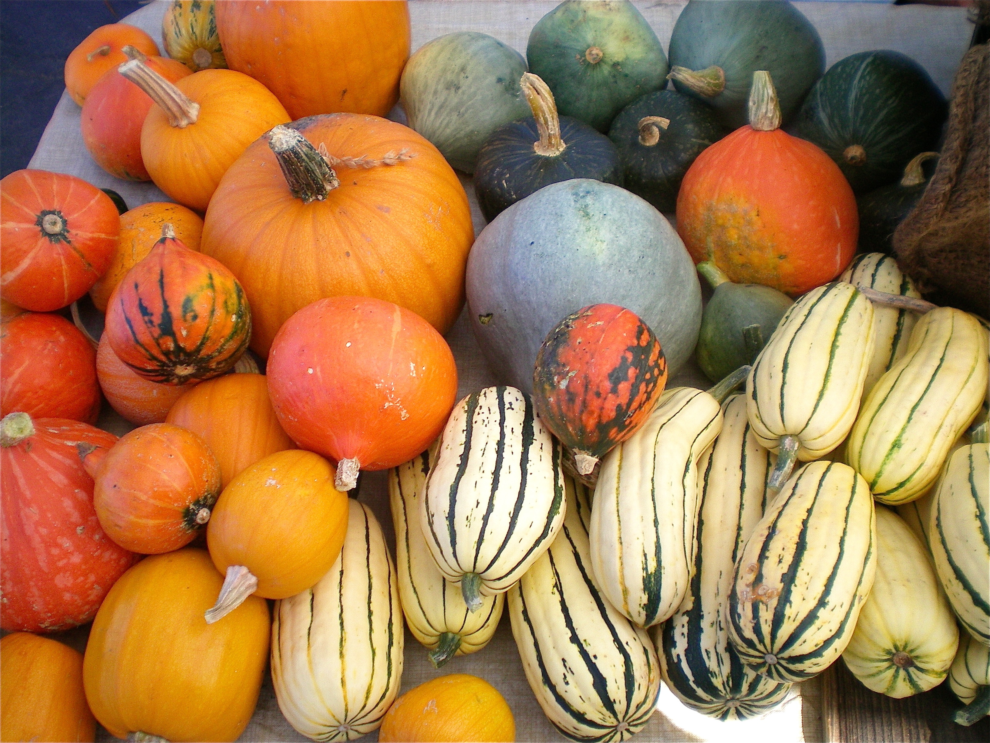 Cold days call for meals with tasty winter squash