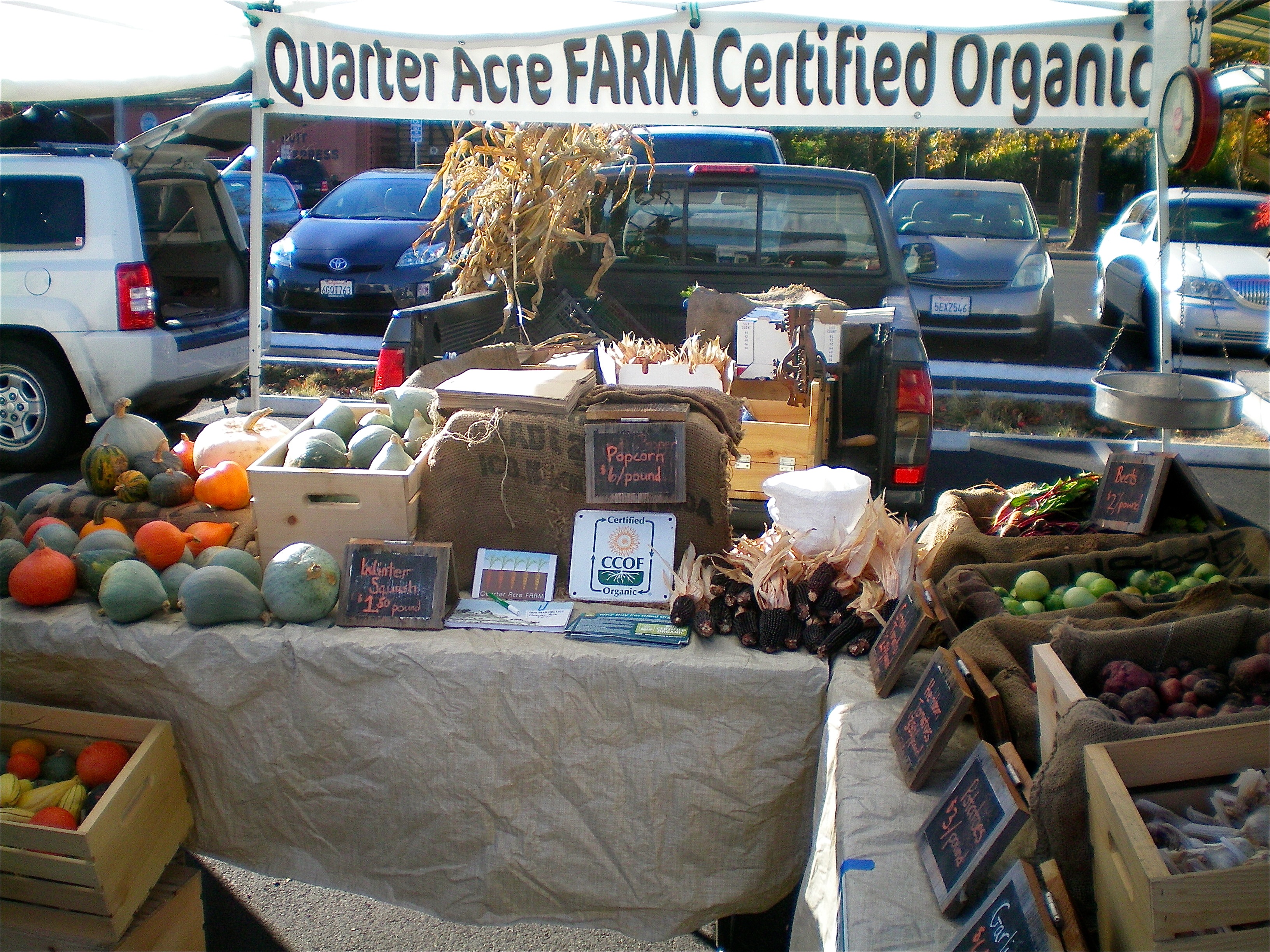 November at the farmers' market