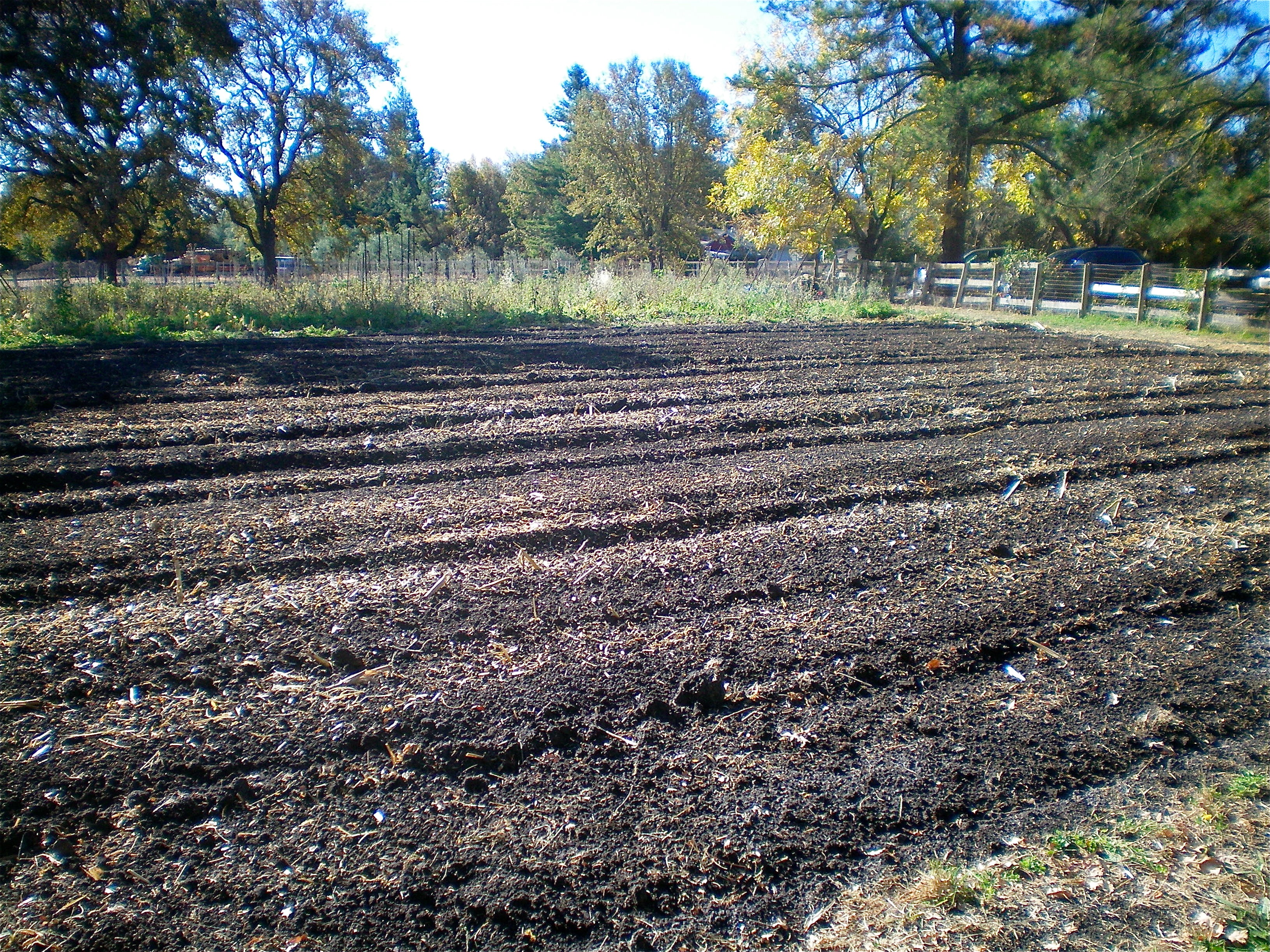 Beds ready for planting