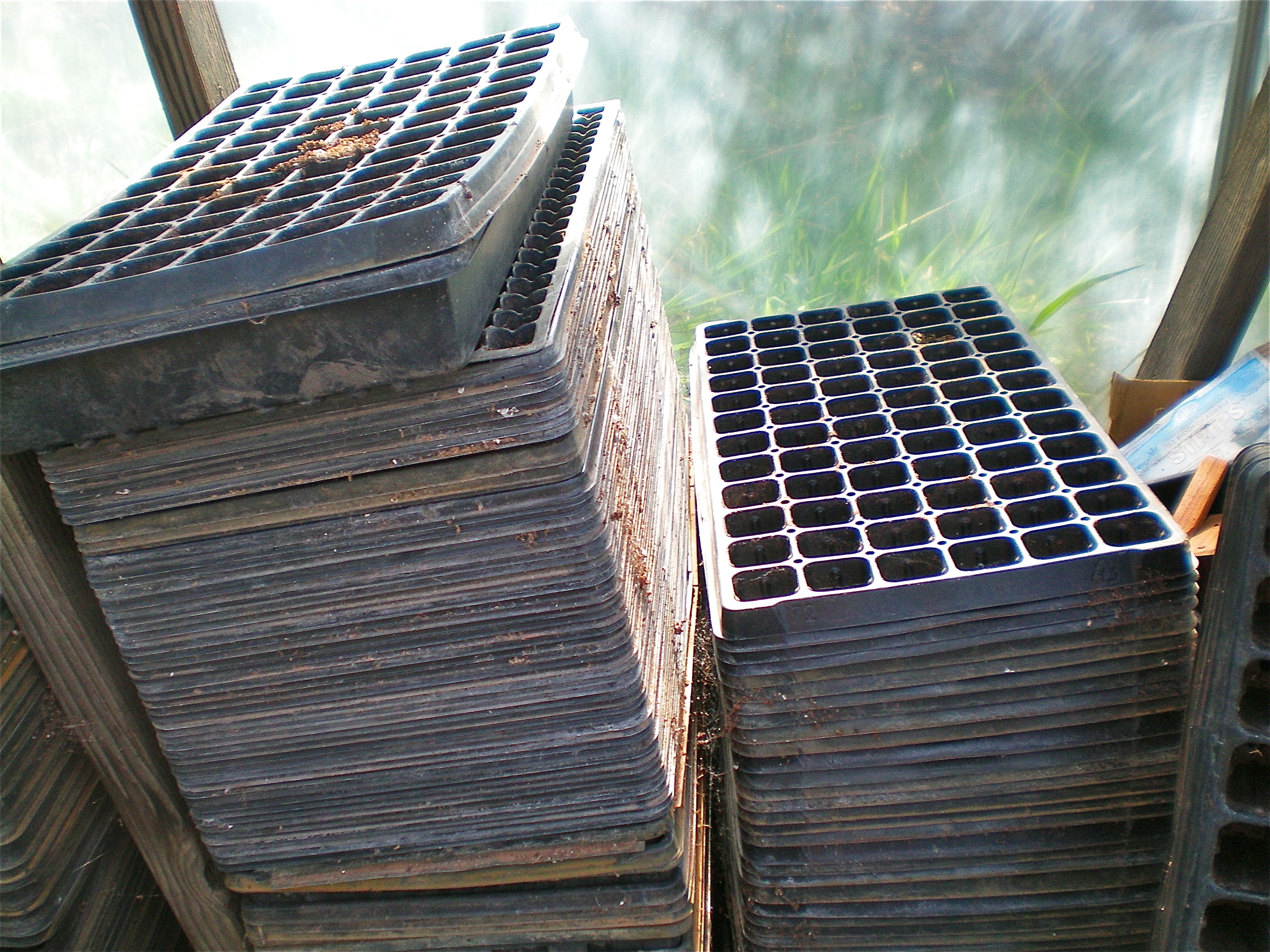 seedling trays