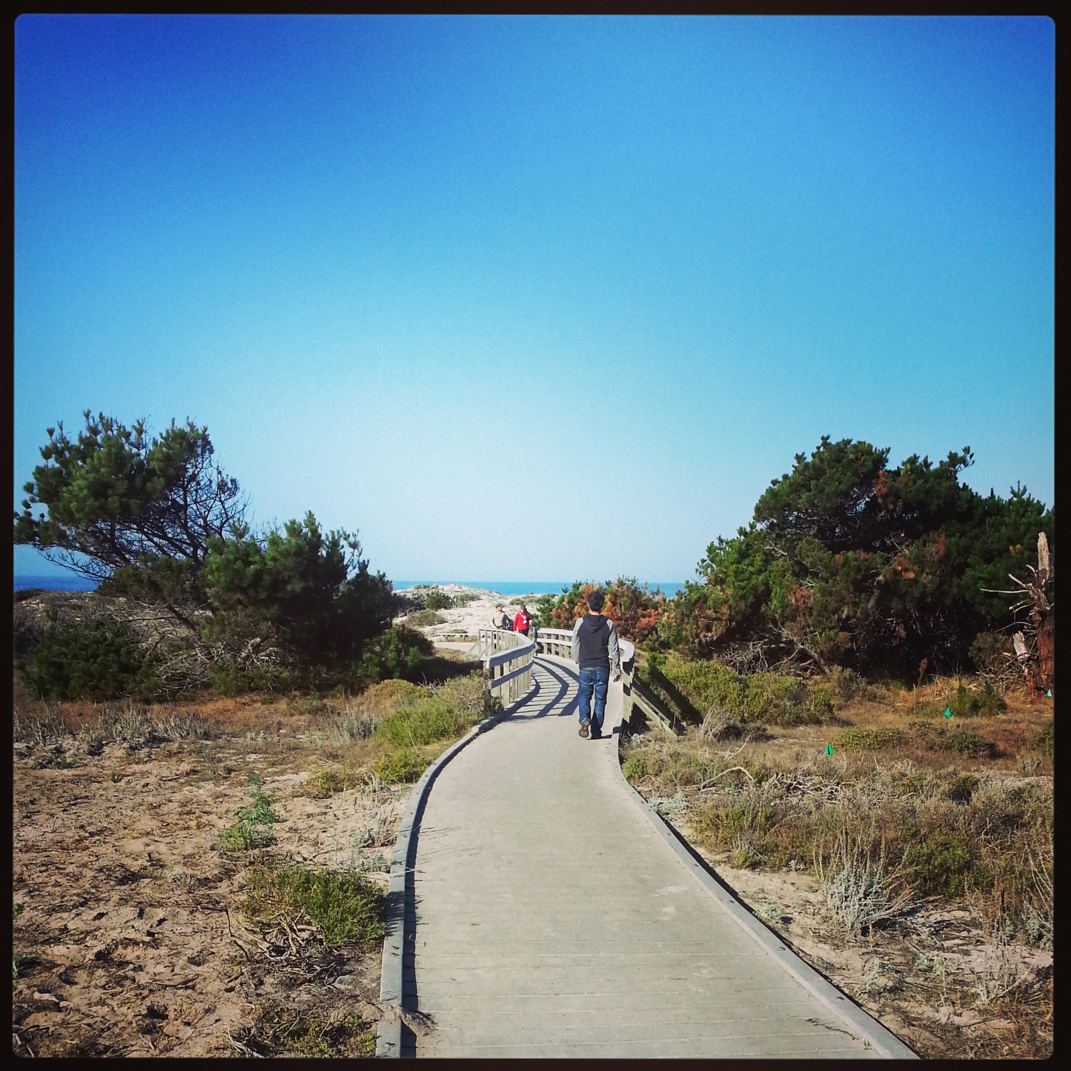 On the way to the state beach