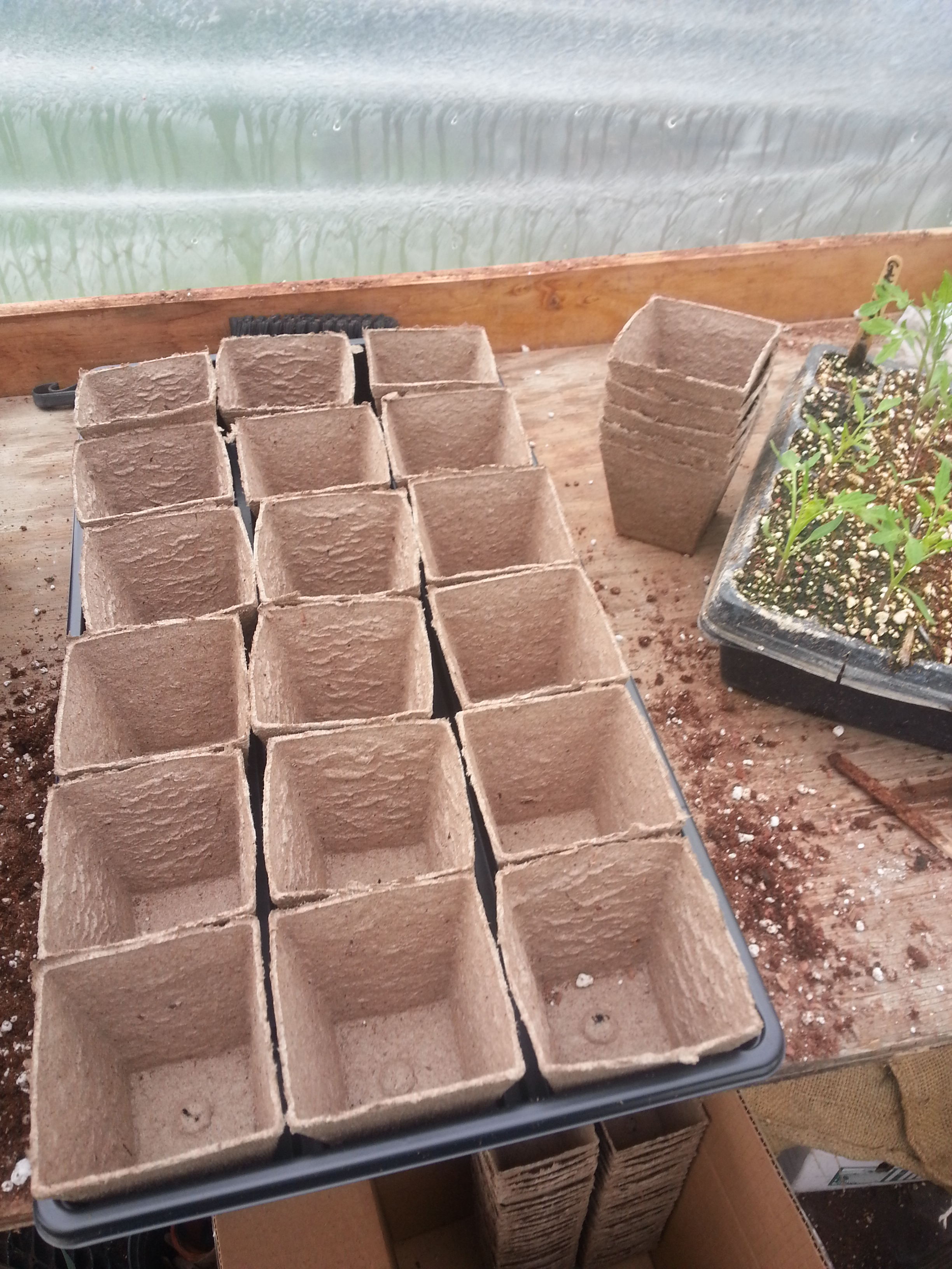 Peat pots ready for plants