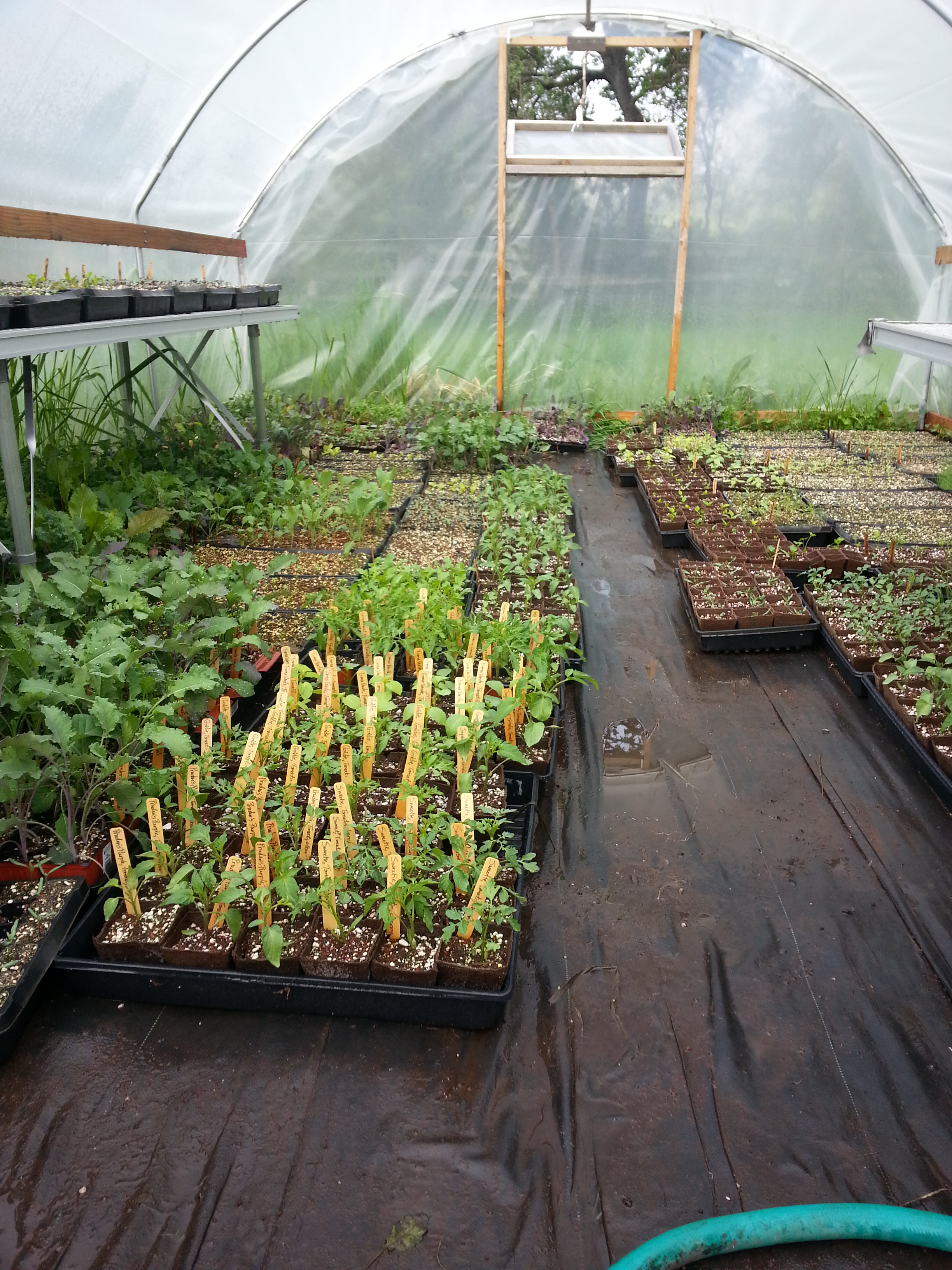 The greenhouse in question