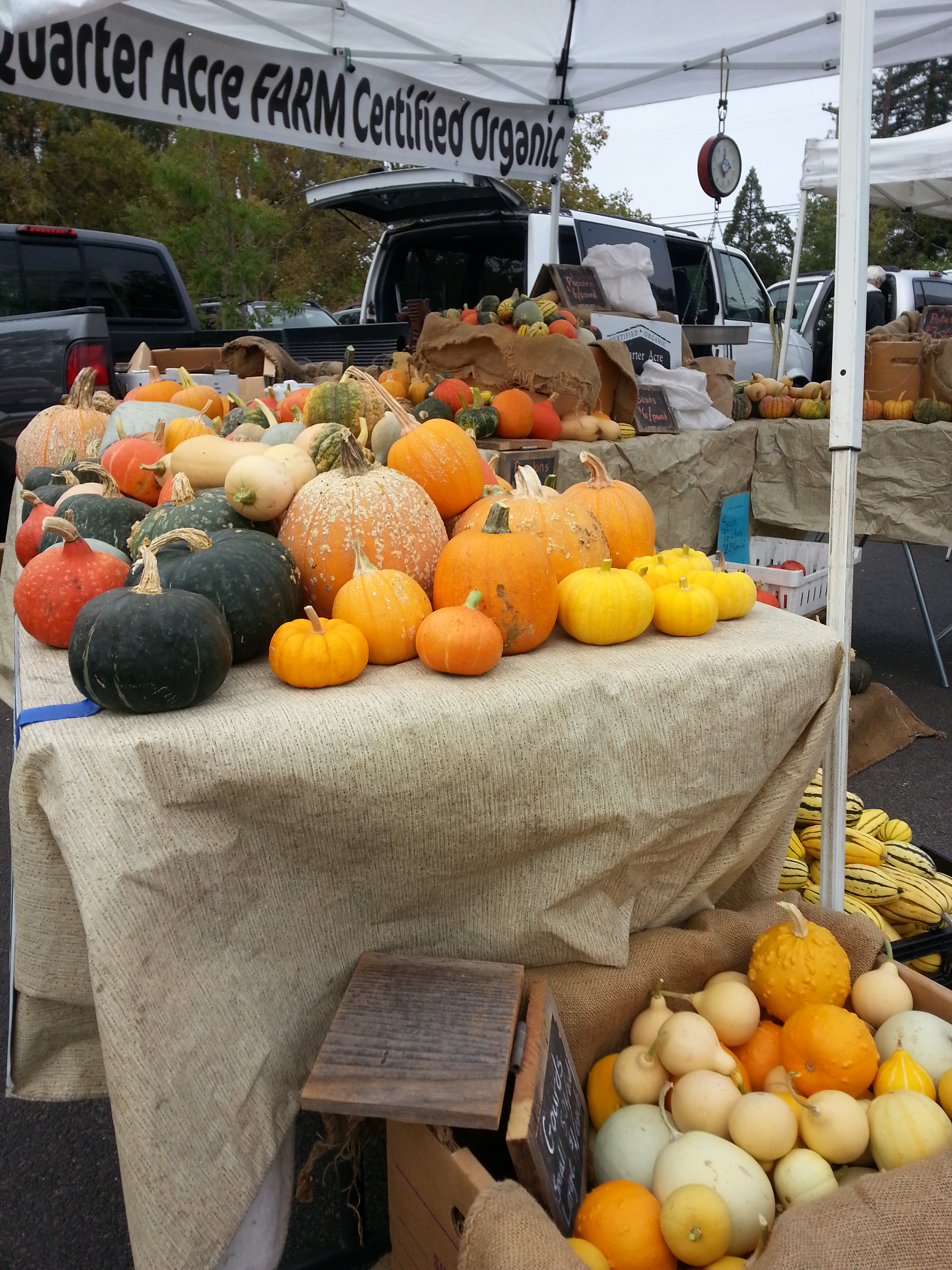 October at the farmers' market