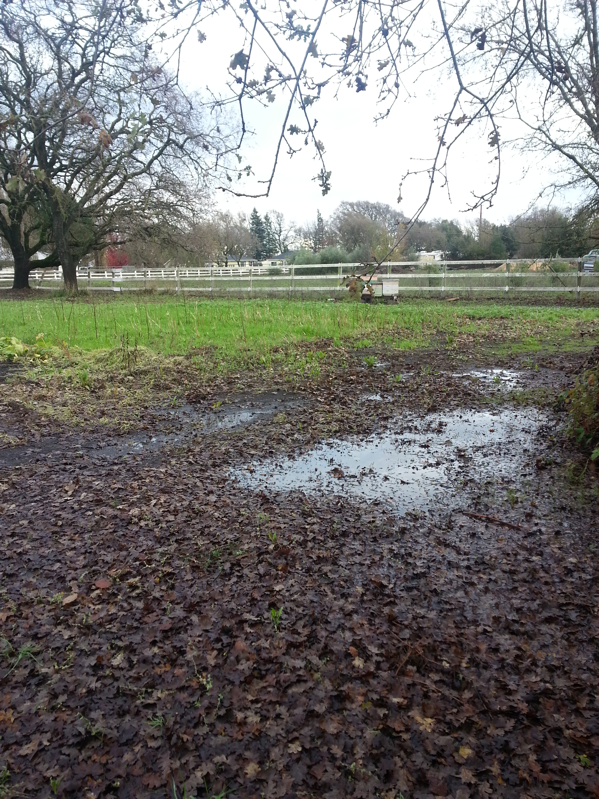 After the storm only a mild amount of standing water in the field