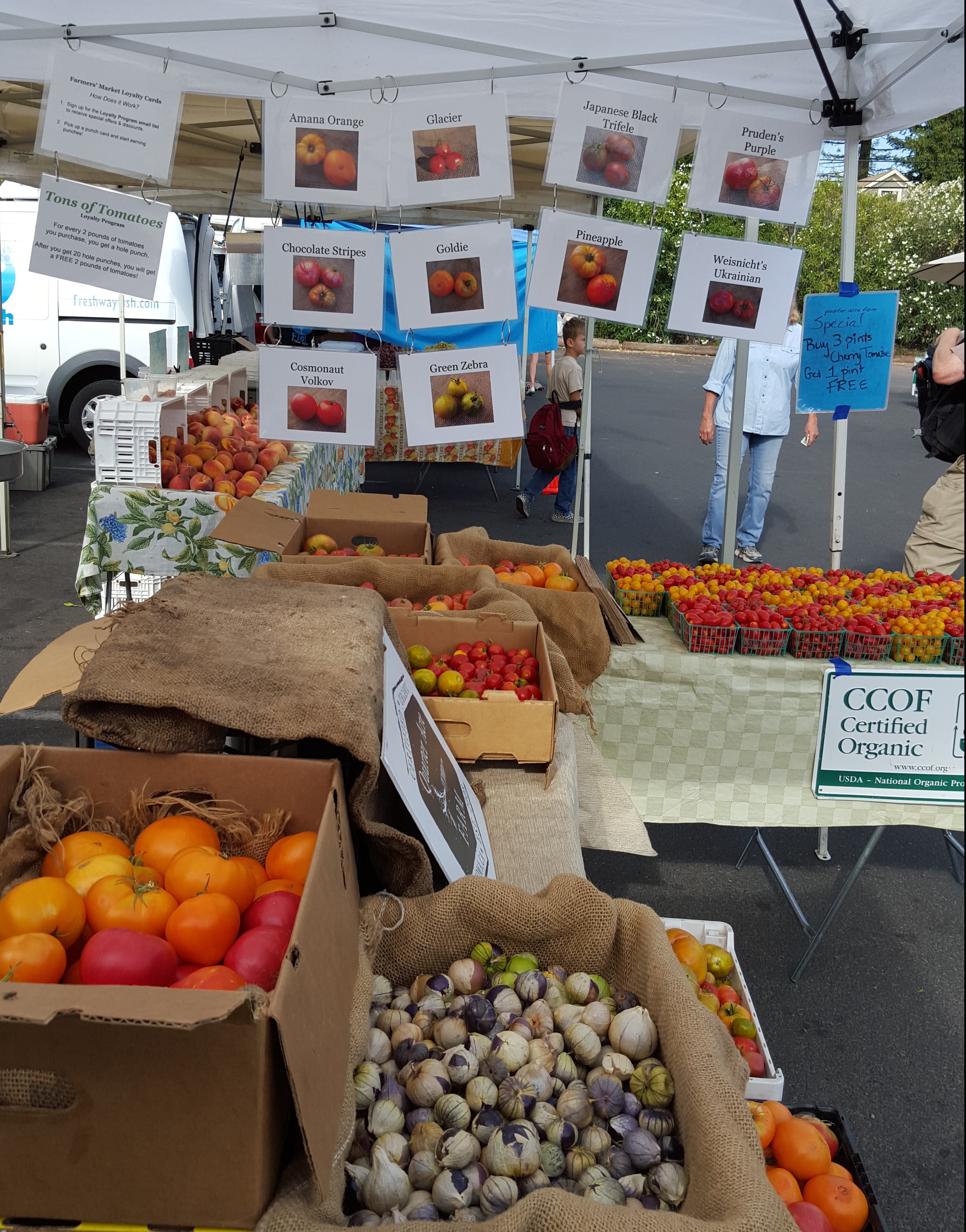 Tomato identification signs at the farmers' market