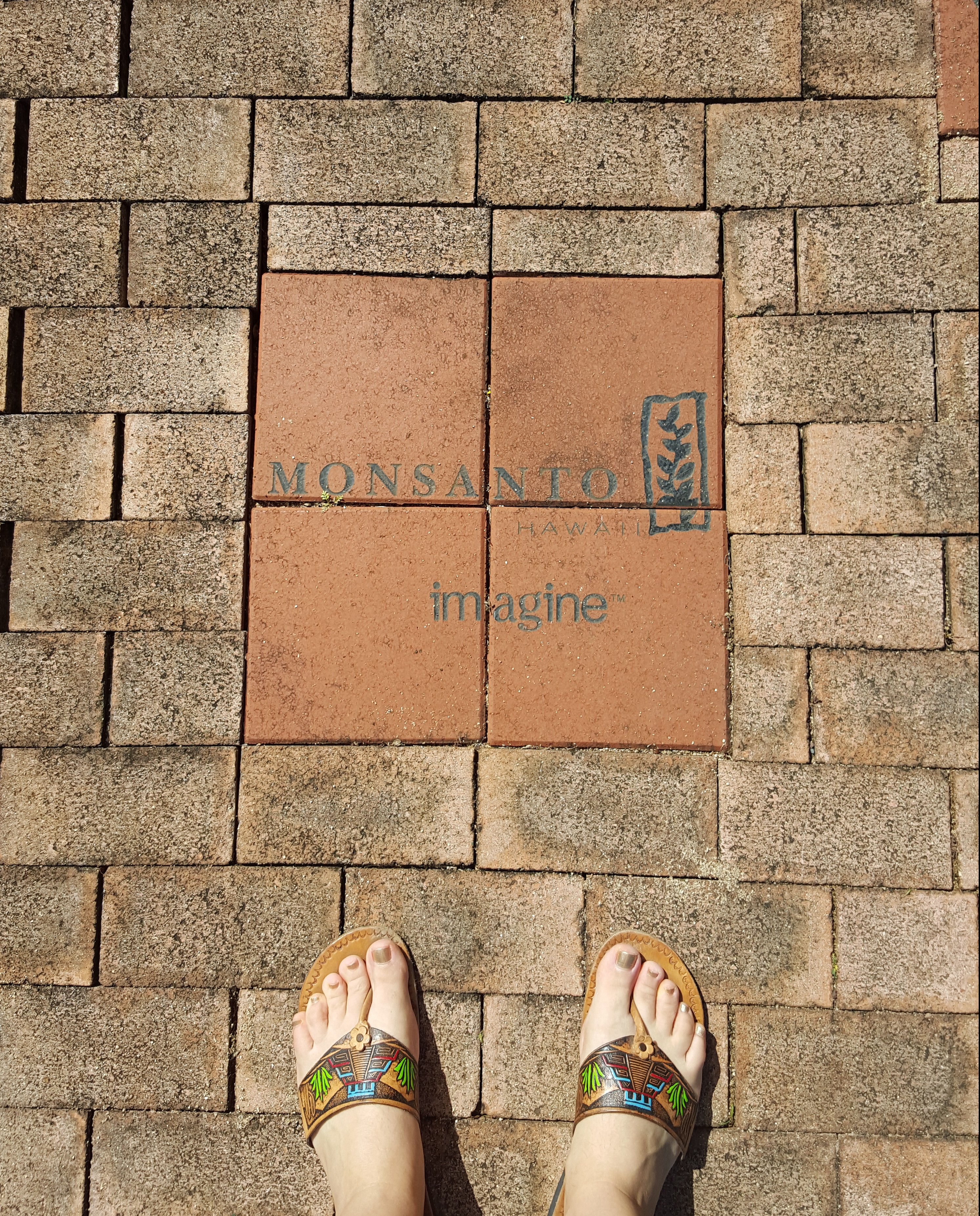 The pathway leading to the North Shore Chamber of Commerce in Haleiwa