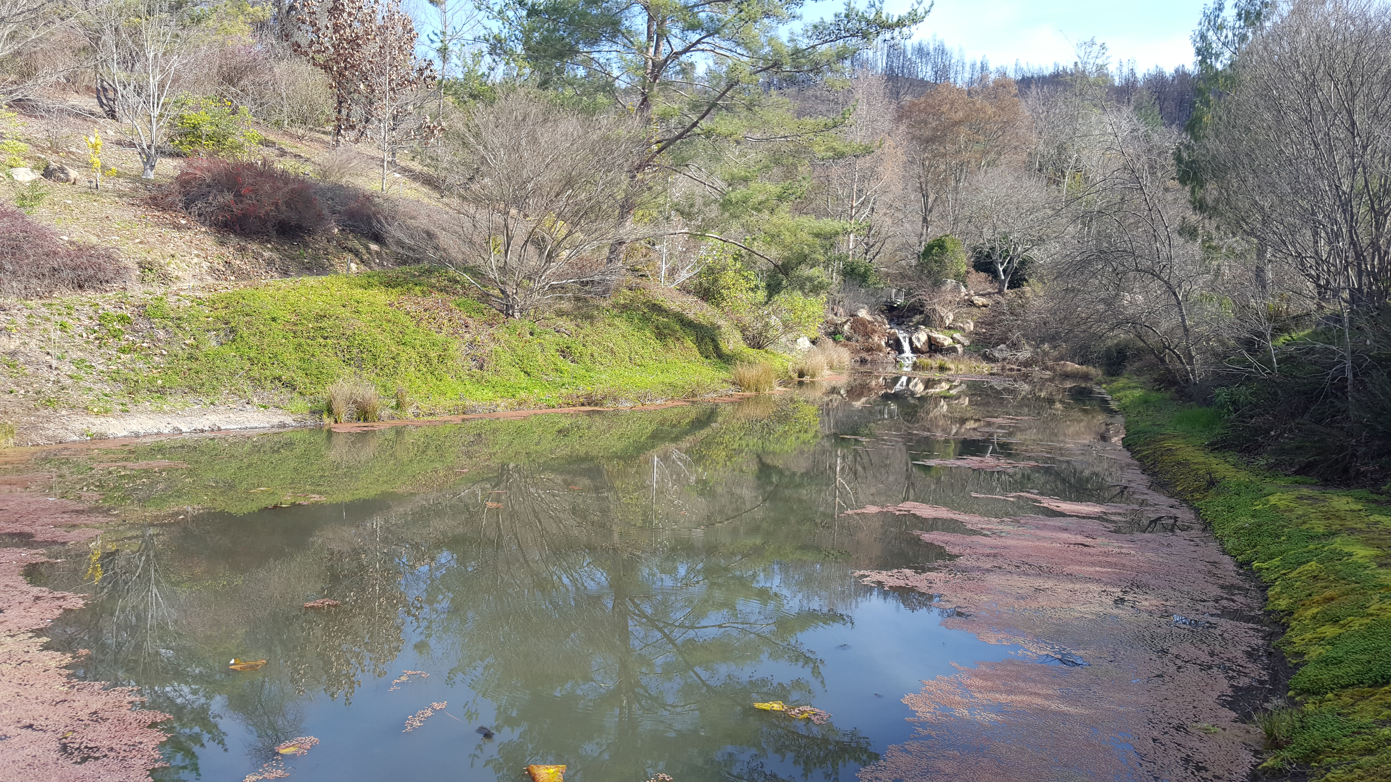 reflection pond