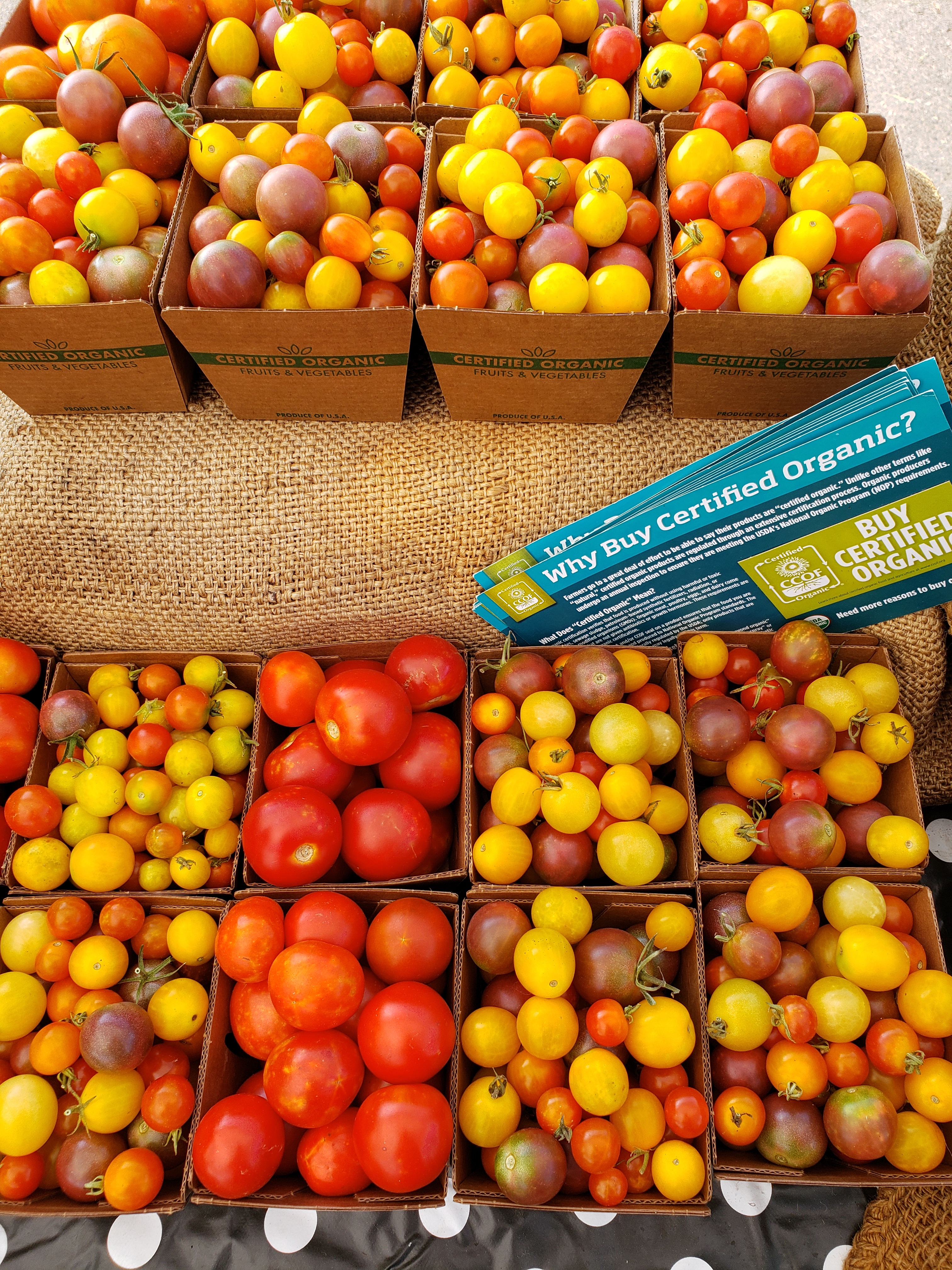 cherry tomatoes