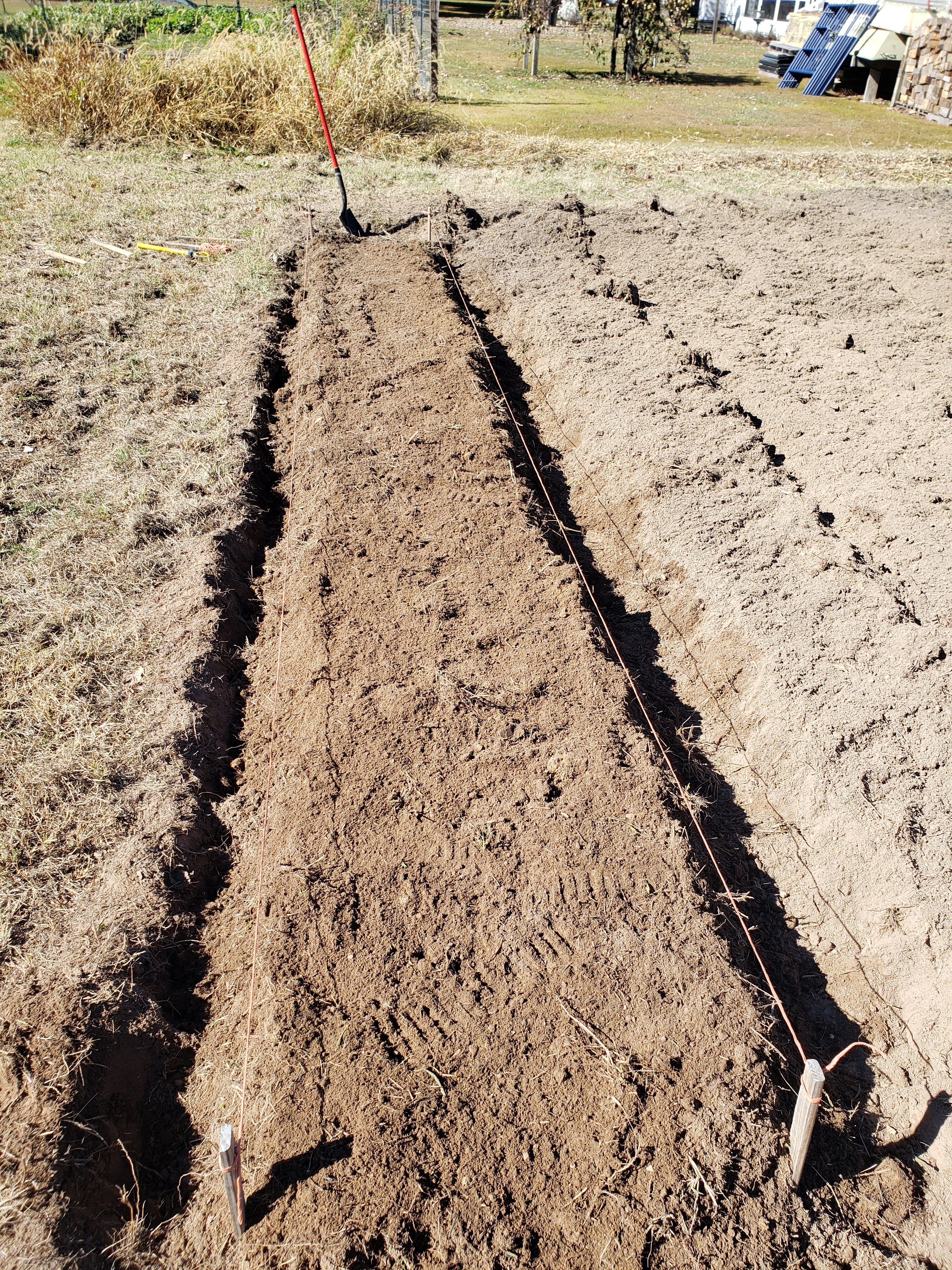 making garlic bed