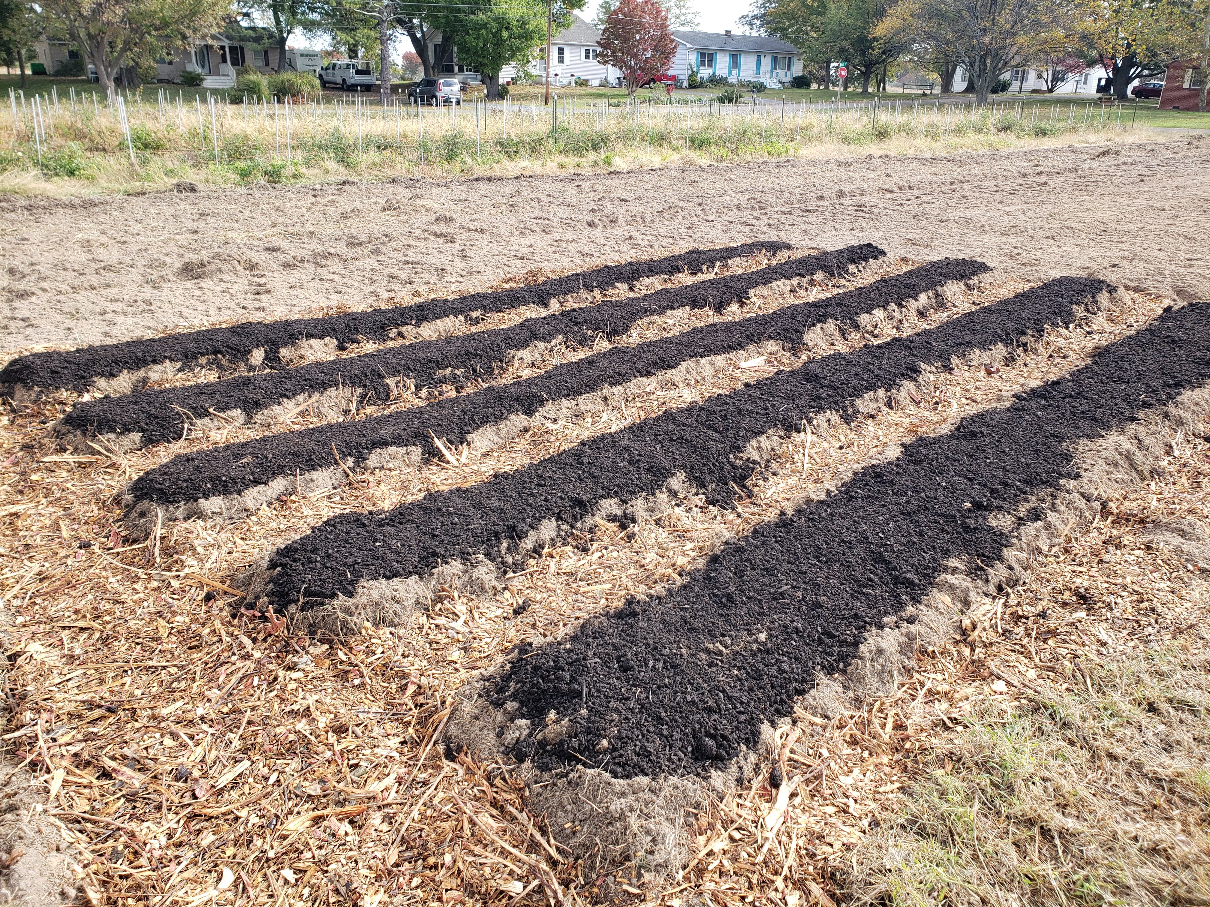 garlic bed prep