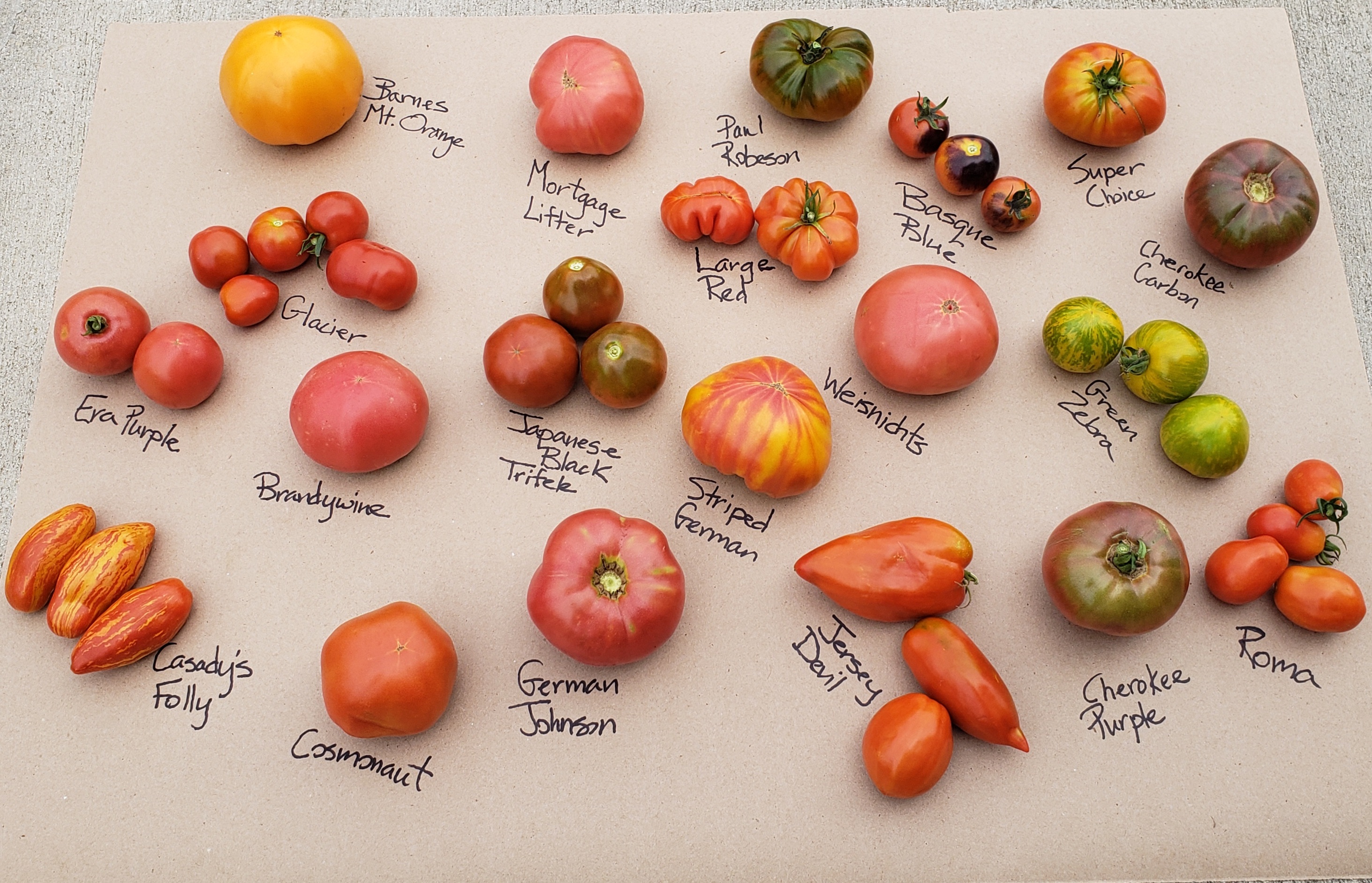 20 tomato varieties