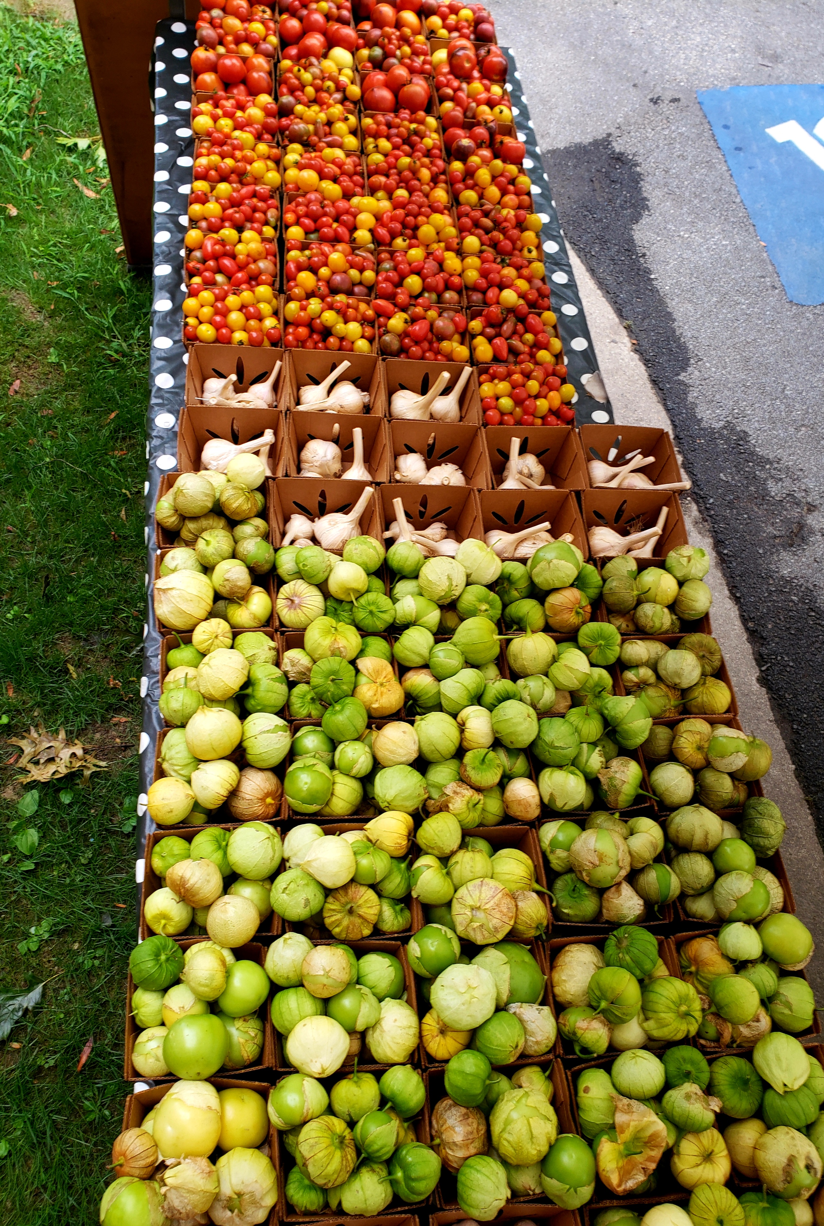 tomatillos, garlic, cherry tomatoes