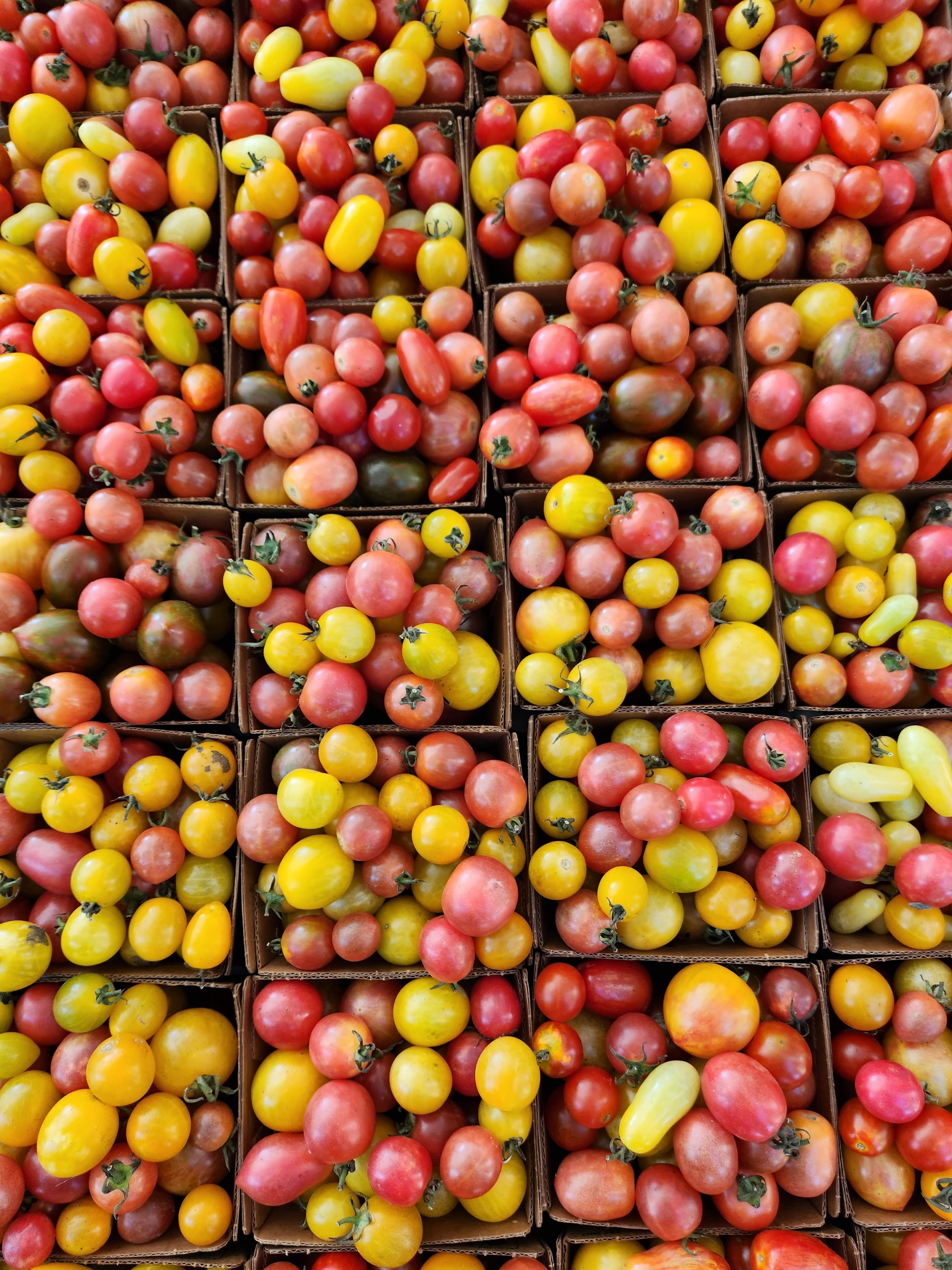 cherry tomatoes